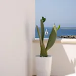 Fronte Mare Casa Daspa 公寓