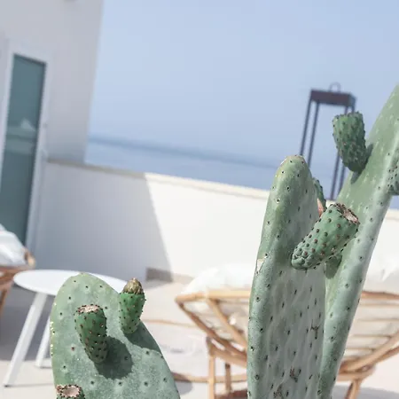 Fronte Mare Casa Daspa * Gallipoli